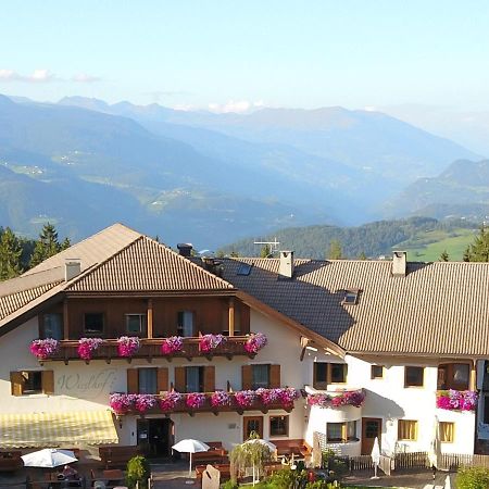 Hotel Wieslhof Collepietra  Esterno foto