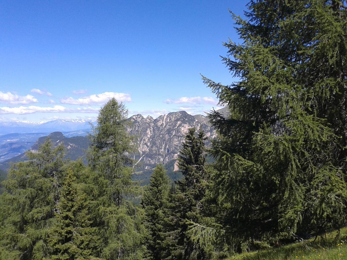 Hotel Wieslhof Collepietra  Esterno foto