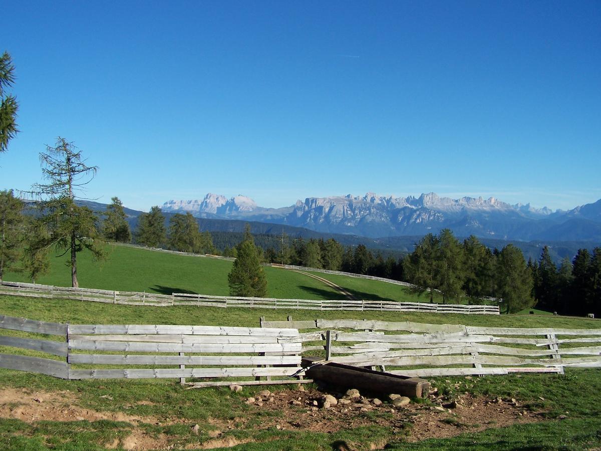 Hotel Wieslhof Collepietra  Esterno foto